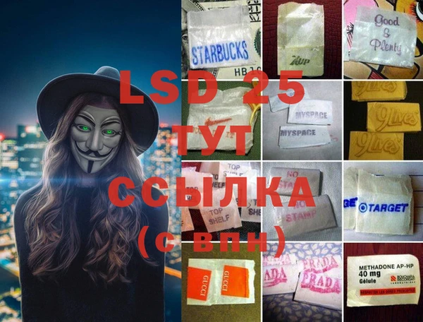 сатива Алзамай
