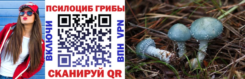 продажа наркотиков  ссылка на мегу вход  Псилоцибиновые грибы прущие грибы  Калининск 